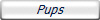 Pups